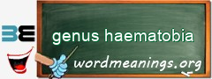 WordMeaning blackboard for genus haematobia